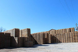 Stacks of Pallets